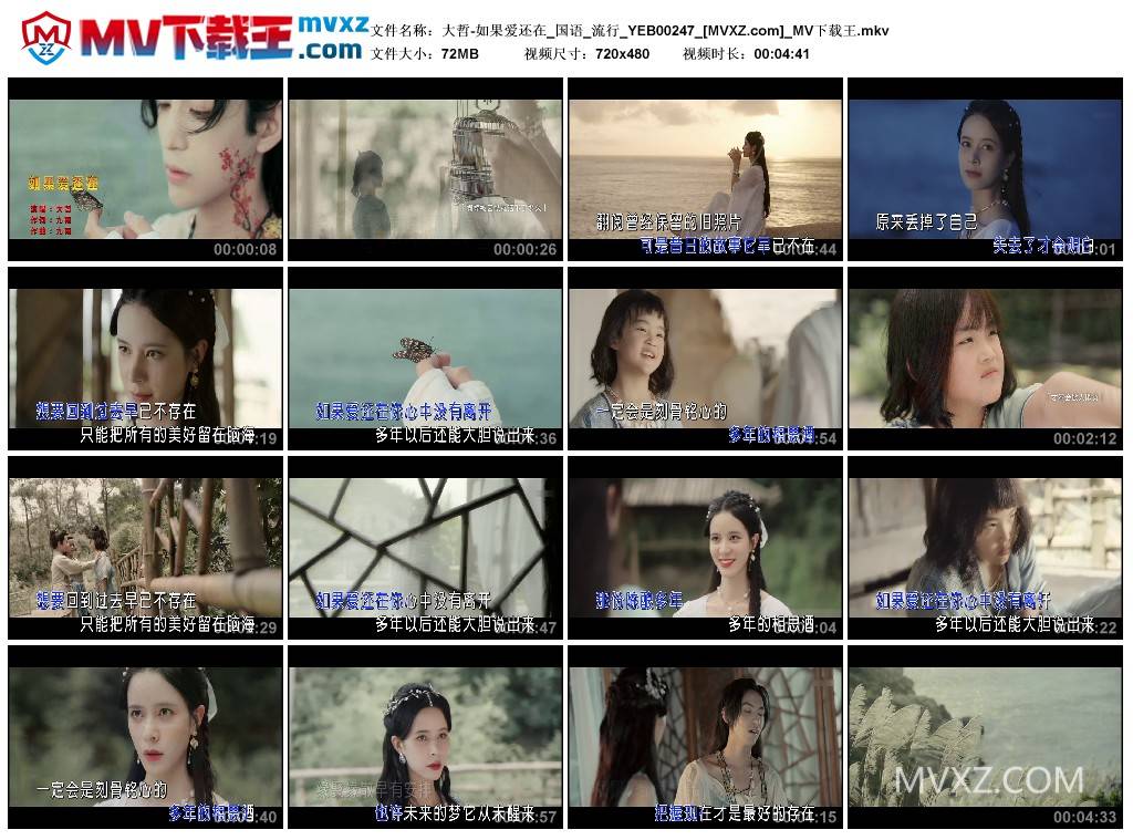 大哲-如果爱还在_国语_流行_YEB00247